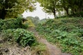 Hillside weedy trail before abandoned 1960s` apartment building