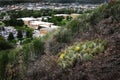 Hillside Above Town with Cactus and Plants