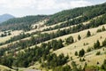 Hillside along Chief Joseph Scenic Byway