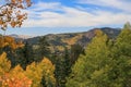 Autumn colors on hillside full of Aspens Royalty Free Stock Photo