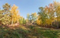 Hillside with autumn forest, glade and footpath Royalty Free Stock Photo