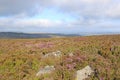 Hillside of the Blorenge, Wales Royalty Free Stock Photo