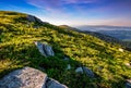 Hillside with boulders in Carpathian mountains in summer Royalty Free Stock Photo