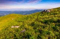 Hillside with boulders in Carpathian mountains in summer Royalty Free Stock Photo