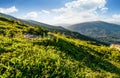 Hillside with boulders in Carpathian mountains in summer Royalty Free Stock Photo