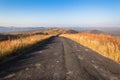 Wildlife Road African Landscape