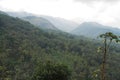 hillside with coconut plantation Royalty Free Stock Photo