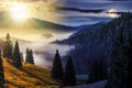 hillside with coniferous forest among the fog in the valley in mountains of Romania with sun and moon at twilight Royalty Free Stock Photo