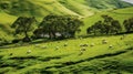 Rolling hillside adorned with lush green grass, featuring a group of grazing sheep in the foreground