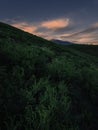A hillside densely covered in green foliage is captured under a dramatic sunset sky Royalty Free Stock Photo