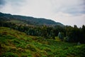 Hillside farming on the volcanic rock near Volcanoes National Park Rwanda Royalty Free Stock Photo