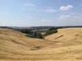 Hillside and fields of Tuscany, Italy Royalty Free Stock Photo