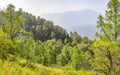 Hillside forest and lake in blue haze. Sunny summer day. Travel and vacation Royalty Free Stock Photo