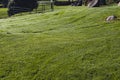 Hillside with freshly cut green grass Royalty Free Stock Photo