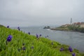 hillside full of flowering plants and a maritime lighthouse on the black sea coast Royalty Free Stock Photo