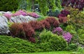 Hillside Landscaping Royalty Free Stock Photo