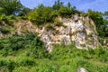 Hillside of a limestone rock formation surrounded by lush wild vegetation