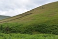 Hillside over Crowden Clough