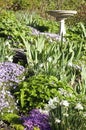 Hillside Perennial Flower Bed