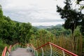 Hillside planked stairway in cloudy summer