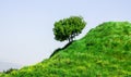Hillside Royalty Free Stock Photo
