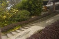 Hillside stairway in foggy winter morning