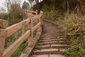 Hillside stone stairway in winter weeds Royalty Free Stock Photo