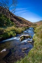 Hillside Stream