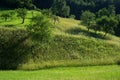 Hillside during summer Royalty Free Stock Photo