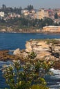 Hillside town on waterfront. Scenic and spectacular landscape with rocky coastline by sea in Sydney, Australia