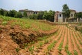 Hillside vegetable field outside fenced villas in sunny summer