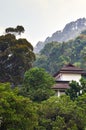 Hillside view with luxury villa among trees