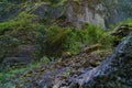 Hillside at Wahclella Falls in the Columbia River Gorge Royalty Free Stock Photo