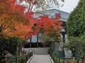 Hillside walking path lined with bright red autumn trees, lush greenery Royalty Free Stock Photo