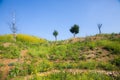 Hilltop garden like a fairy tale world