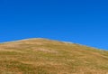 Hilltop grass meadow and bright blue hot summer sky, for background. Royalty Free Stock Photo