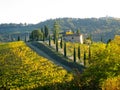 Hilltop Villa & Vineyards - Tuscany, Italy