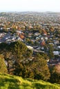 Hilltop vista of suburb with colorful trees in fall before sunset from Mount Eden, Auckland, New Zealand