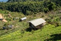 Hilltribe village and farm at Doi Ang Khang, Chiang Mai, Thailand Royalty Free Stock Photo