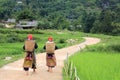 Hilltribe women near paddy fields walking up Royalty Free Stock Photo