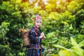 Hilltribes and rambutans in the harvest season