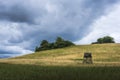 Hilly field with deerstand