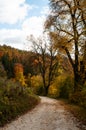 A gravel path in a hilly forest