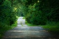 Hilly gravel road through green dense forest Royalty Free Stock Photo