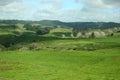 Scenic rural landscape of pastureland, rolling hills and trees on sunny day in Waitomo, New Zealand