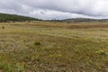 The hilly landscape around the Florissant Fossil Beds