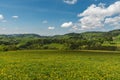 Hilly landscape in Black Forest, Baden-Wuerttemberg, Germany Royalty Free Stock Photo