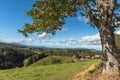 Hilly landscape in the Black Forest with meadows and farm houses near St. Maergen, Germany Royalty Free Stock Photo