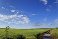 Hilly landscape with corn field immature dominated by clouds: Alta Murgia National Park, Apulia Italy. Royalty Free Stock Photo