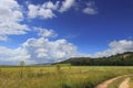 Hilly landscape with corn field immature dominated by clouds: Alta Murgia National Park, Apulia Italy. Royalty Free Stock Photo